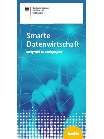 Cover der Publikation "Smarte Datenwirtschaft"