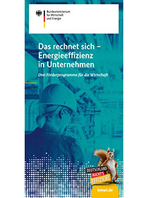 Cover der Publikation "Das rechnet sich – Energieeffizienz in Unternehmen"